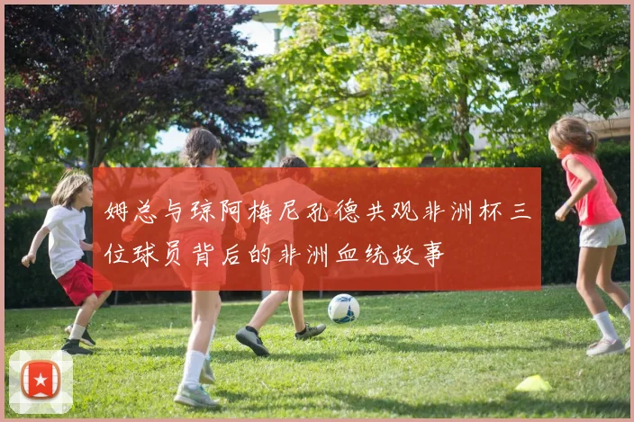 姆总与琼阿梅尼孔德共观非洲杯三位球员背后的非洲血统故事
