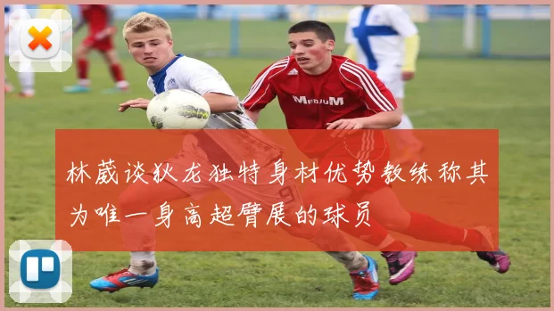 林葳谈狄龙独特身材优势教练称其为唯一身高超臂展的球员